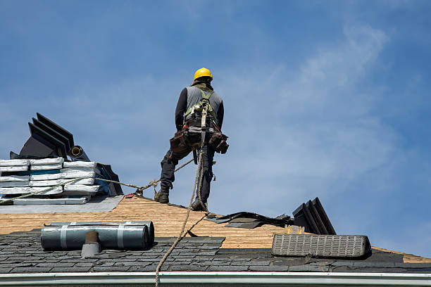 Professional Roof Replacement technician working in Collins, WI